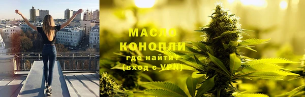 тгк Каменногорск