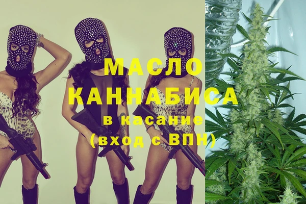 тгк Каменногорск