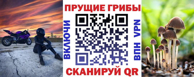 Галлюциногенные грибы Cubensis  Купить  Дмитриев 
